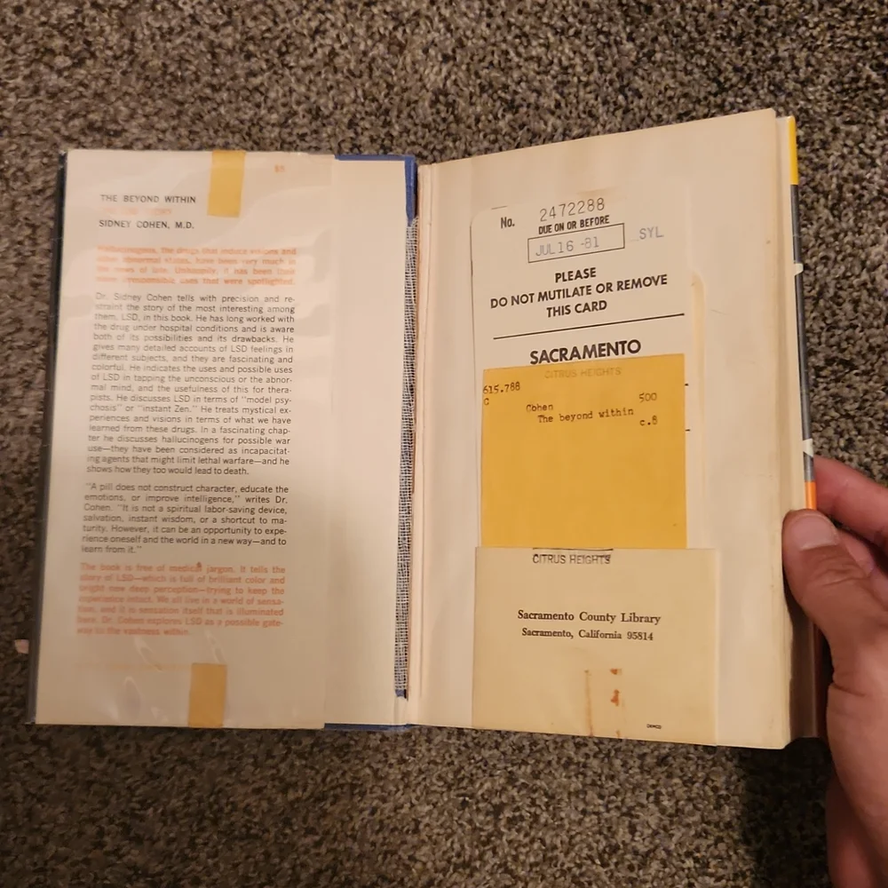 The Beyond Within The LSD Story - Picture 4 of 6